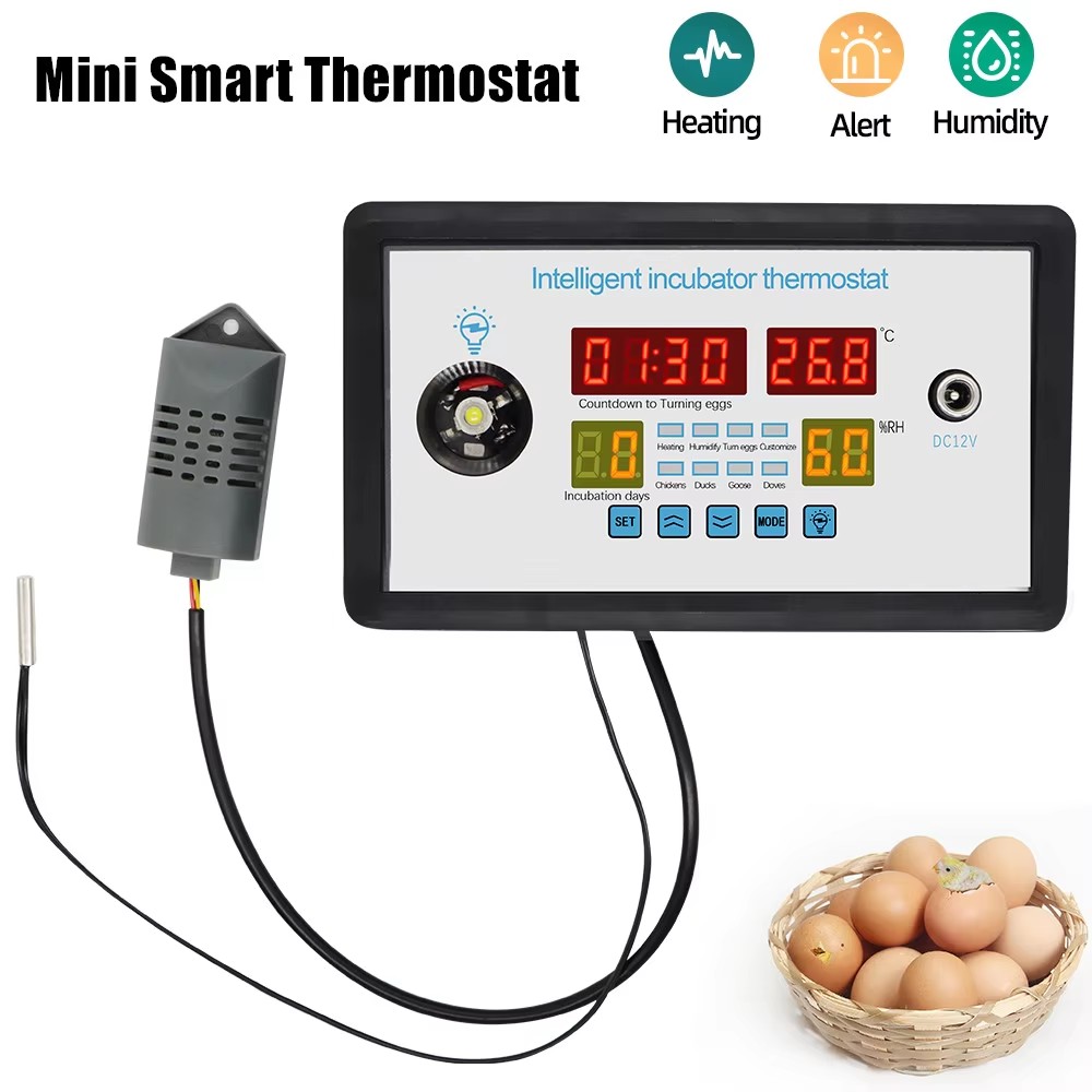 view